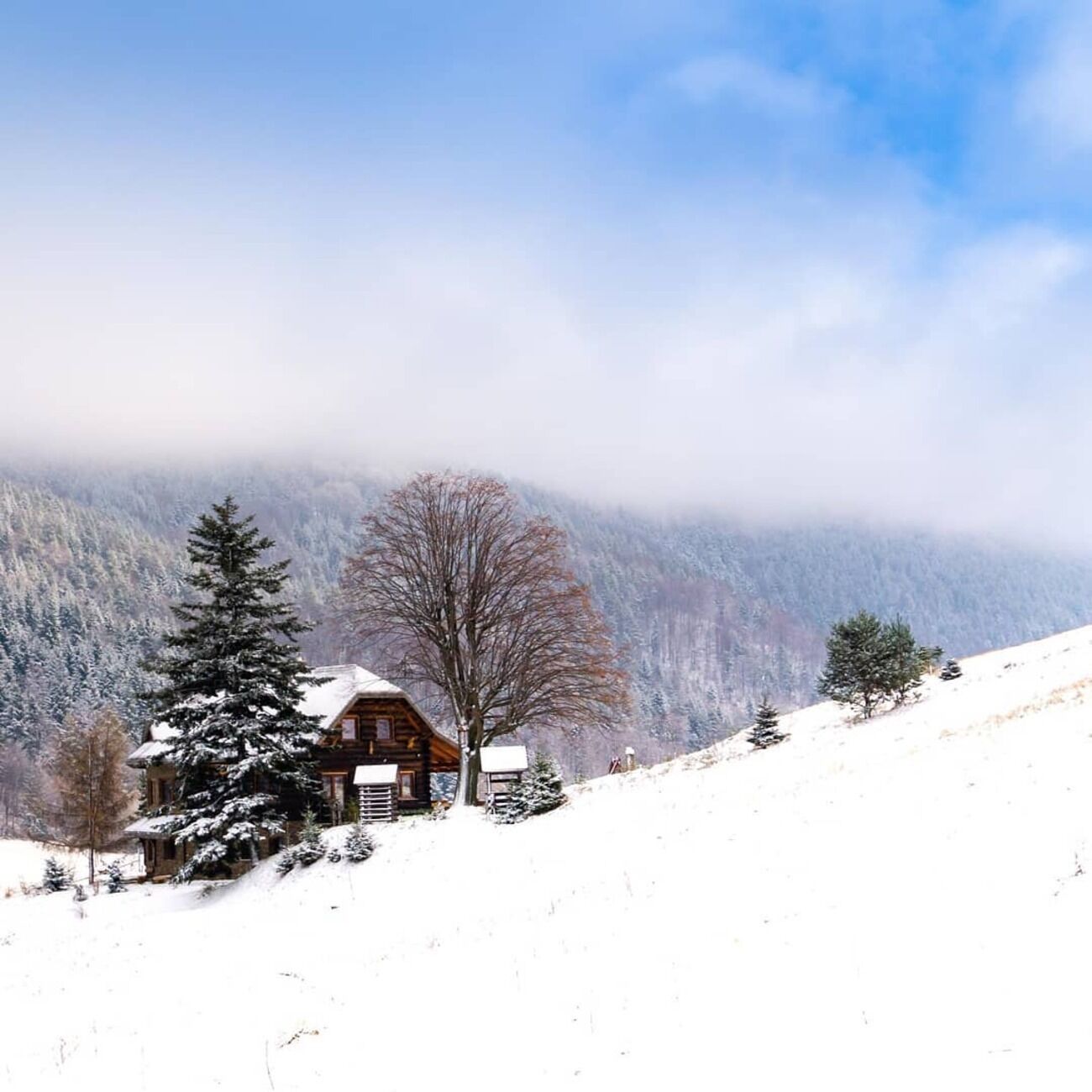 A wooden cabin with a snow-covered roof, surrounded by snow-covered trees and mountains in the background.