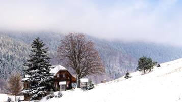 A wooden cabin with a snow-covered roof, surrounded by snow-covered trees and mountains in the background.