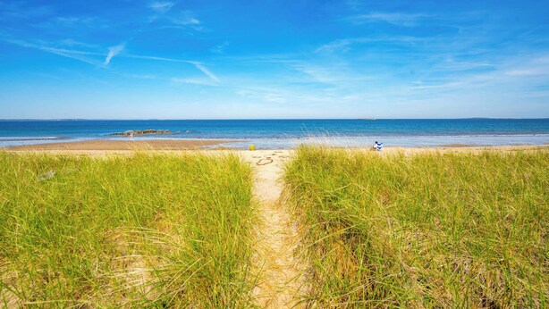 A beach path leading to the sea with tall grass on either side. - Bayview Beach Cottage For 4! (Saco)