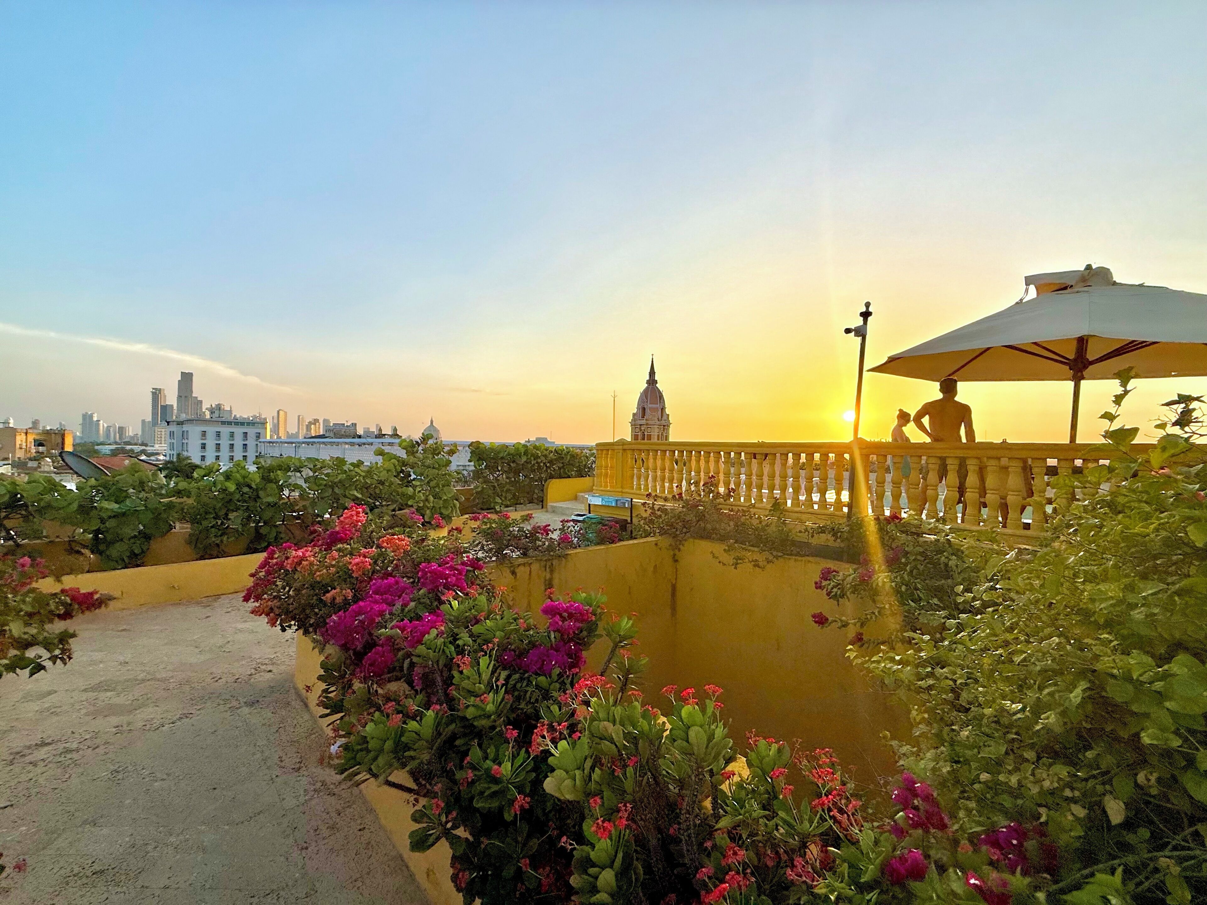Un jardín en la azotea con vistas al horizonte urbano y un edificio con cúpula.