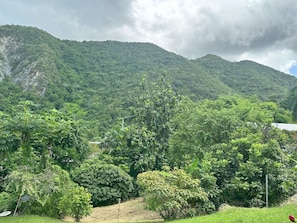 Miscellaneous - Nature's Lodge Escape (Sabana Grande)