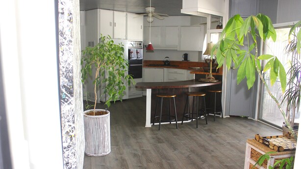 A kitchen with a bar area, wooden flooring, and potted plants.