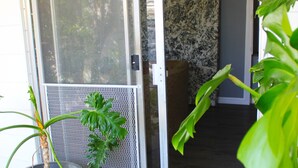 A door with a metal grill, a potted plant, and a textured mat.