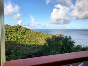 施設からの眺望