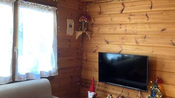 Smart-TV, Kamin