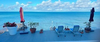 Ocean Garden Studio 2