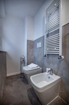 Shower, hair dryer, bidet, towels