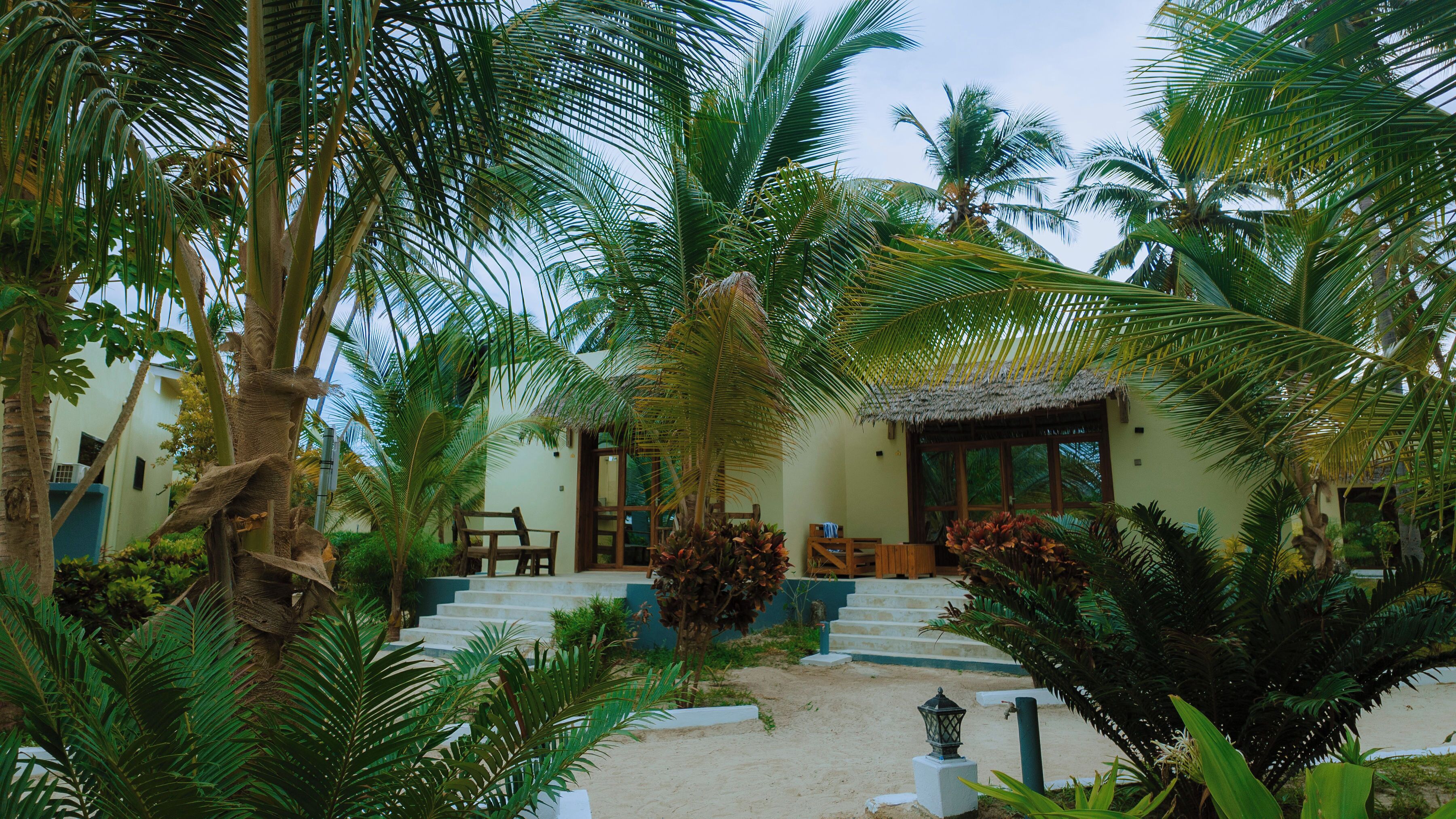 A tropical resort with a thatched-roof building, palm trees, and a staircase leading to the entrance.
