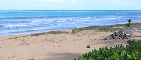Beach nearby, sun loungers, beach towels