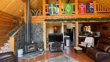 Smart TV, chimenea, reproductor de DVD y libros