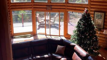 Smart TV, chimenea, reproductor de DVD y libros