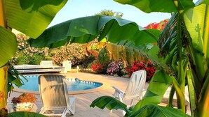 A pool area with lounge chairs, surrounded by large banana leaves and flowering plants.