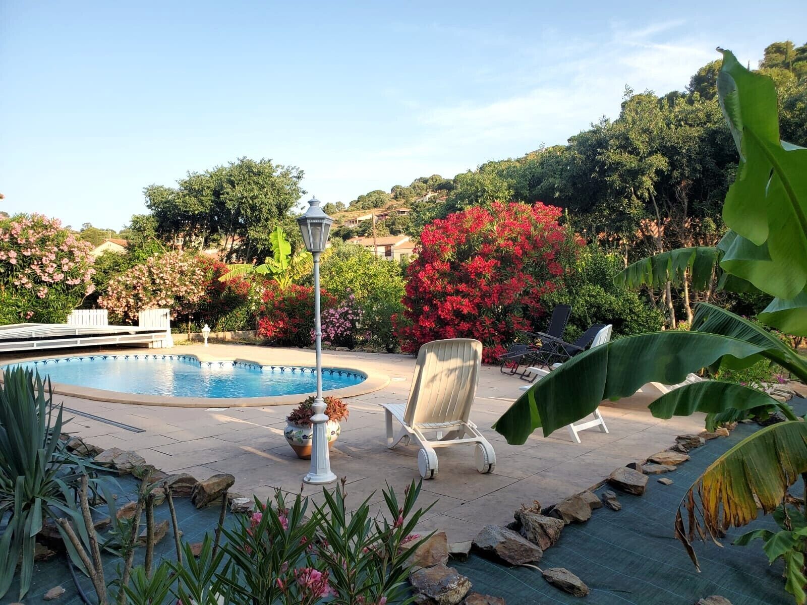 Un área de piscina con sillas de descanso, un farol y diversas plantas y flores.