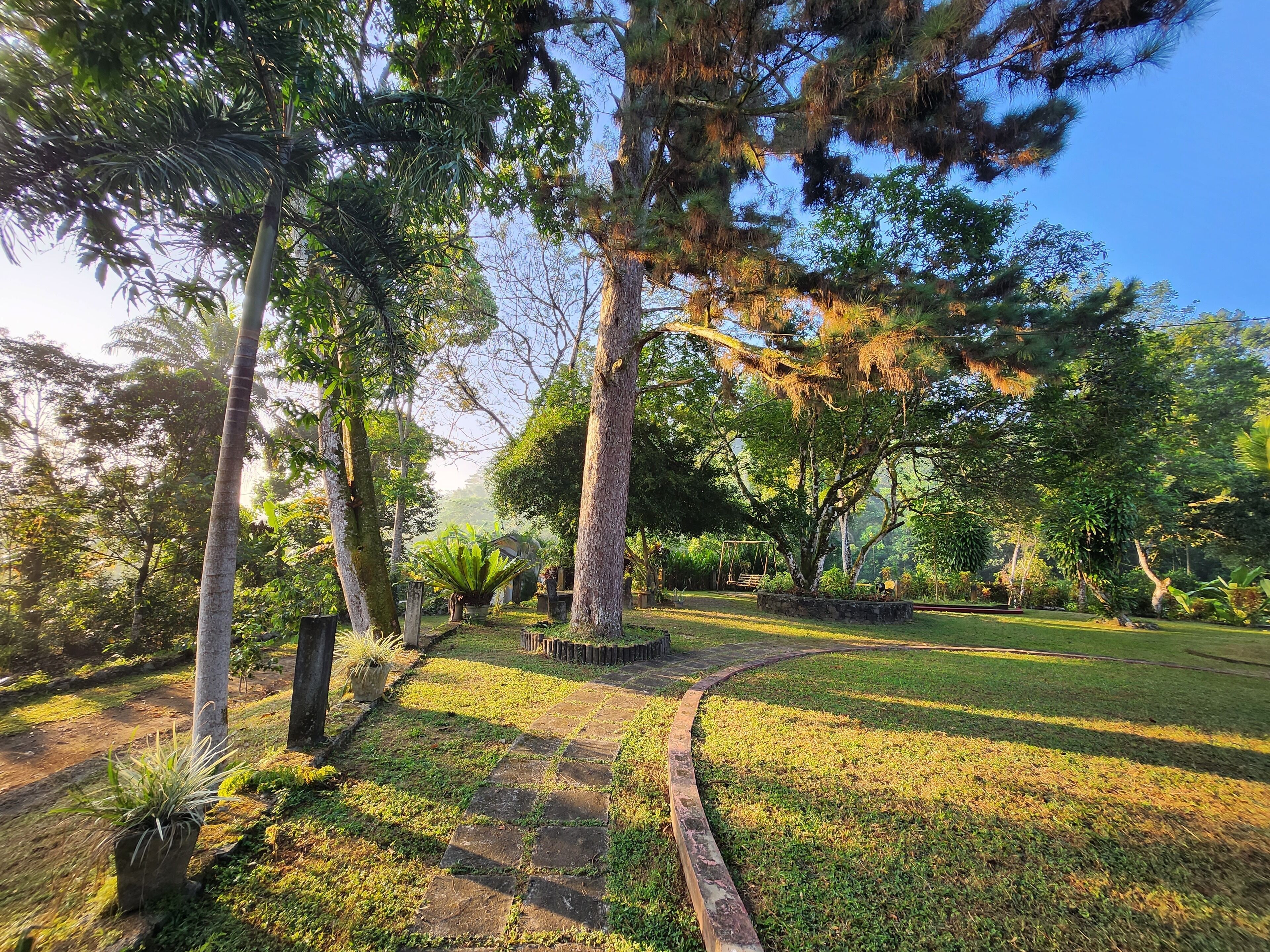 子供用の遊び場 - 屋外