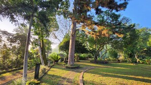 Ein Garten mit einem Kiesweg, verschiedenen Pflanzen und einer Schaukel.