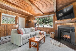 TV connectée, cheminée, lecteur de DVD, livres