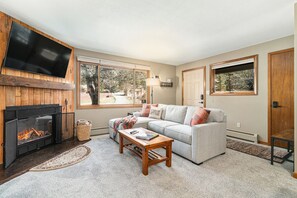 Smart TV, chimenea, reproductor de DVD y libros 