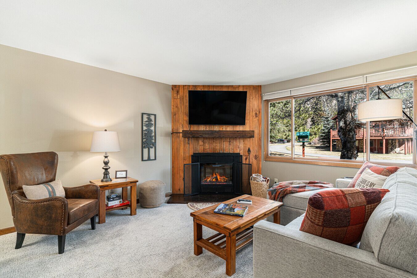 TV connectée, cheminée, lecteur de DVD, livres