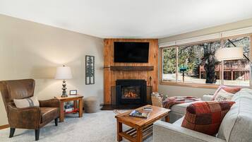 TV connectée, cheminée, lecteur de DVD, livres