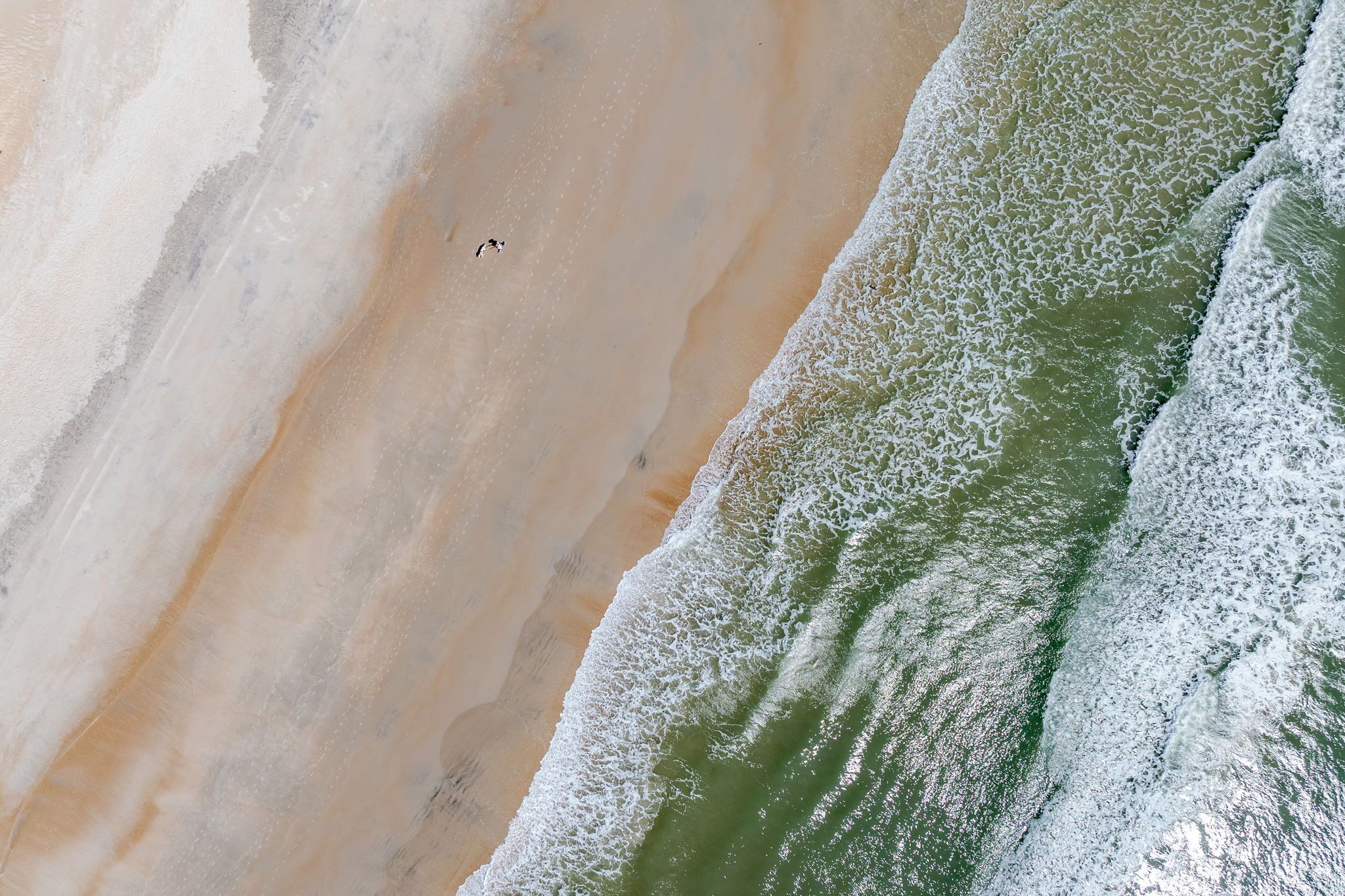 Vista aerea di una spiaggia con un litorale sabbioso e onde.