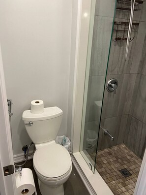 Eco-friendly toiletries, hair dryer, bidet, towels