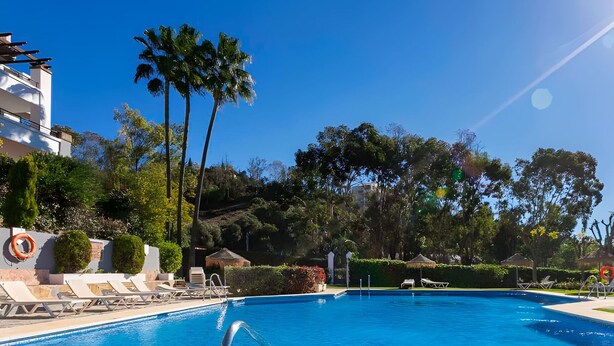 A clear blue swimming pool with lounge chairs and palm trees in the background.