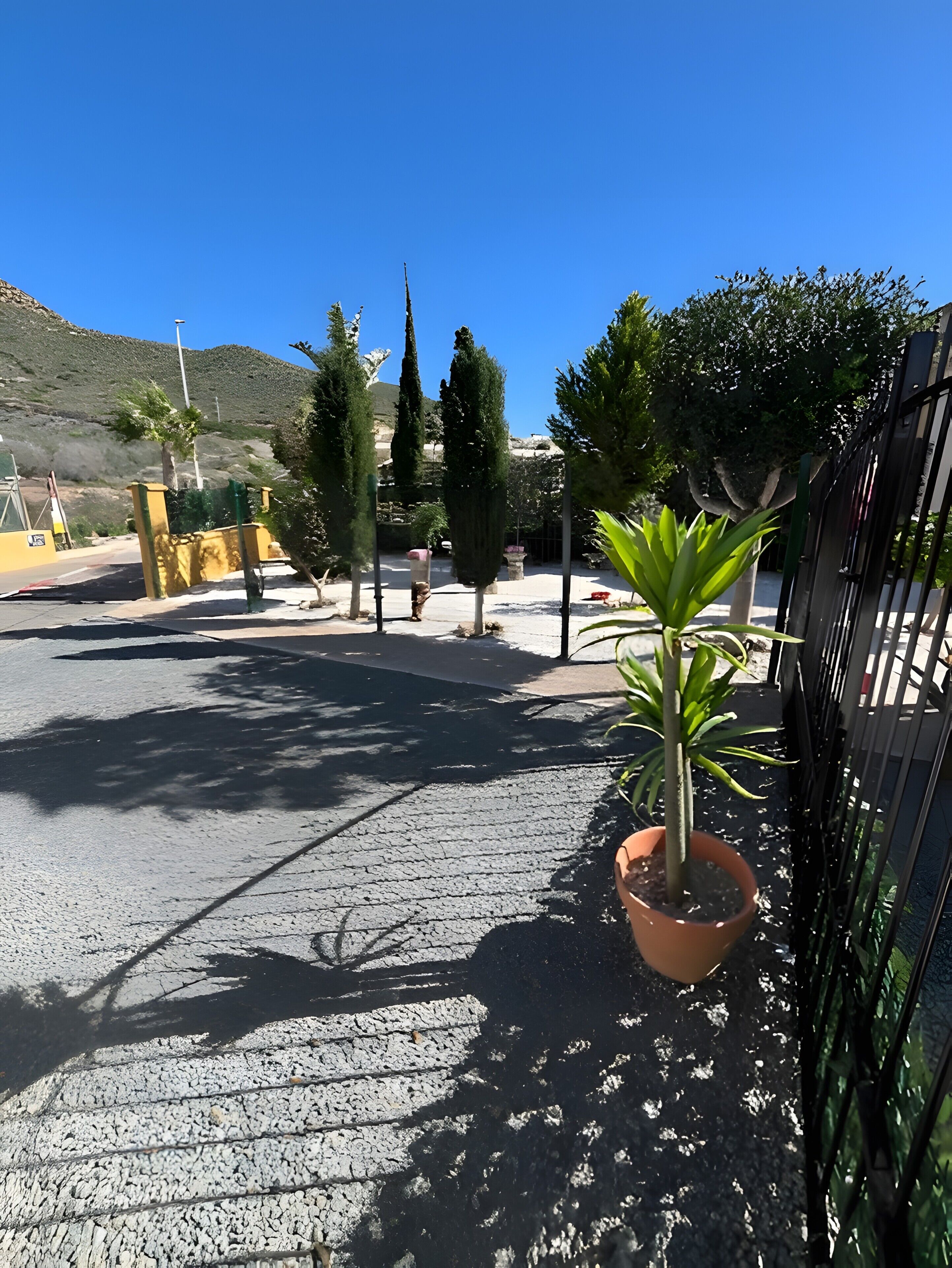 Un espace extérieur aménagé avec un revêtement pavé, agrémenté d’un pot de fleurs, d’une clôture en métal et d’arbres.