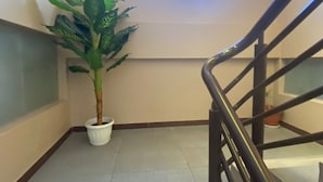 A staircase with a potted plant on the landing.
