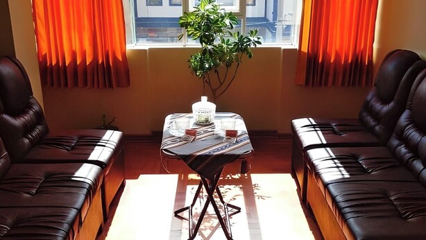 A room with two leather sofas, a small table with a plant, and a window with curtains.