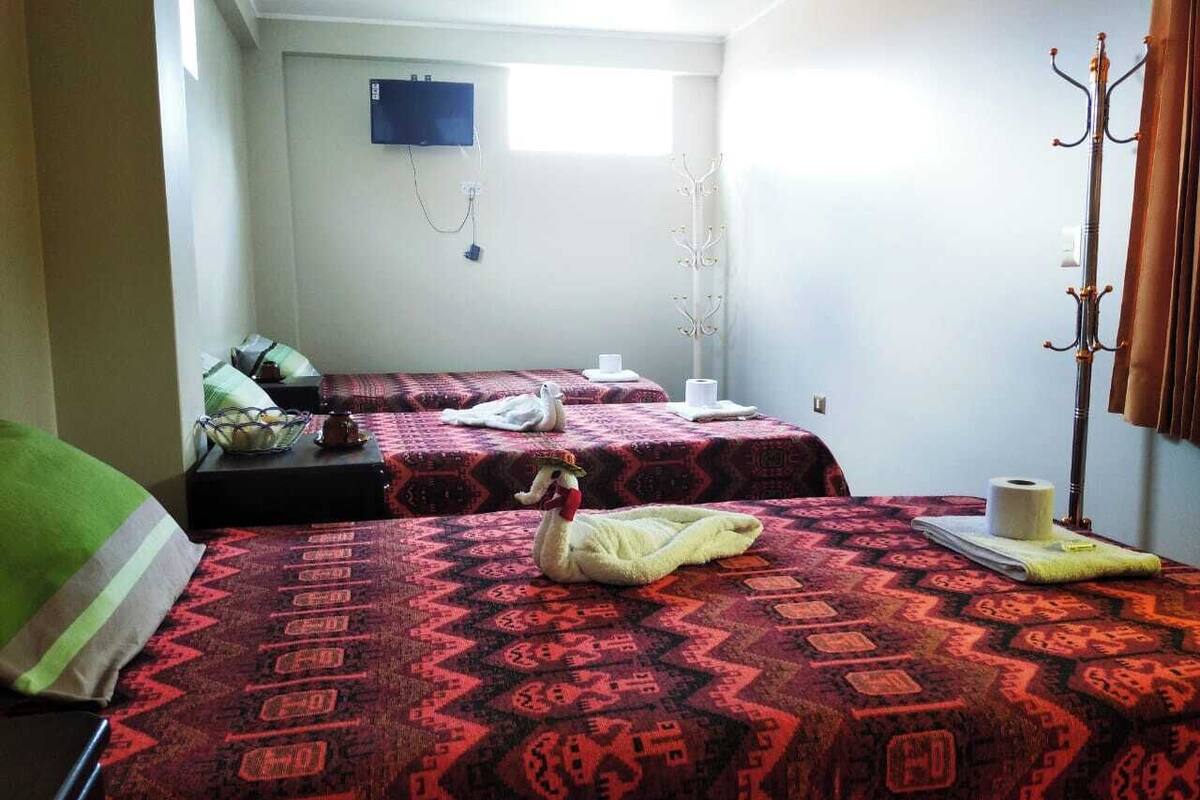 Economy Triple Room, Shared Bathroom | Premium bedding, down duvets, laptop workspace
