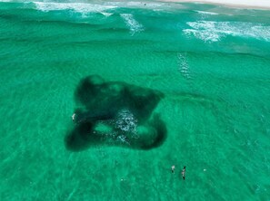 Beach nearby