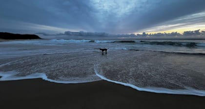 Callistemon Cathos Beach Cottage 8 mins walk to beach (dog-friendly)