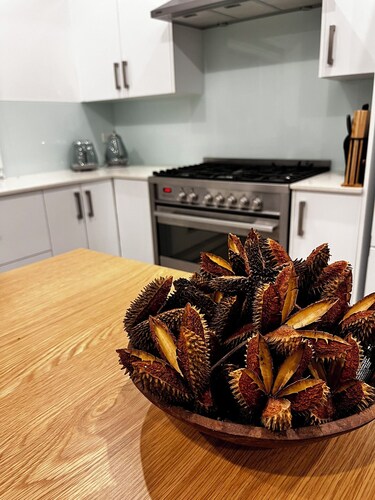 Callistemon Cathos Beach Cottage 8 mins walk to beach (dog-friendly)