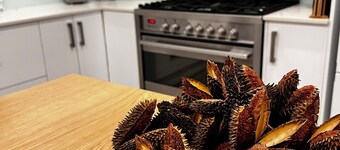 Callistemon Cathos Beach Cottage 8 mins walk to beach (dog-friendly)