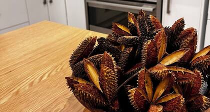 Callistemon Cathos Beach Cottage 8 mins walk to beach (dog-friendly)