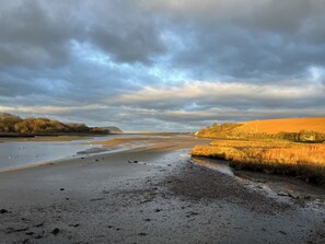 Beach - Coedmor (Newport)