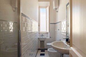 Shower, hair dryer, bidet, towels