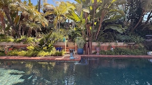 Property grounds - Luxurious Tropical Retreat w/ Pool and Hot Tub (San Diego)