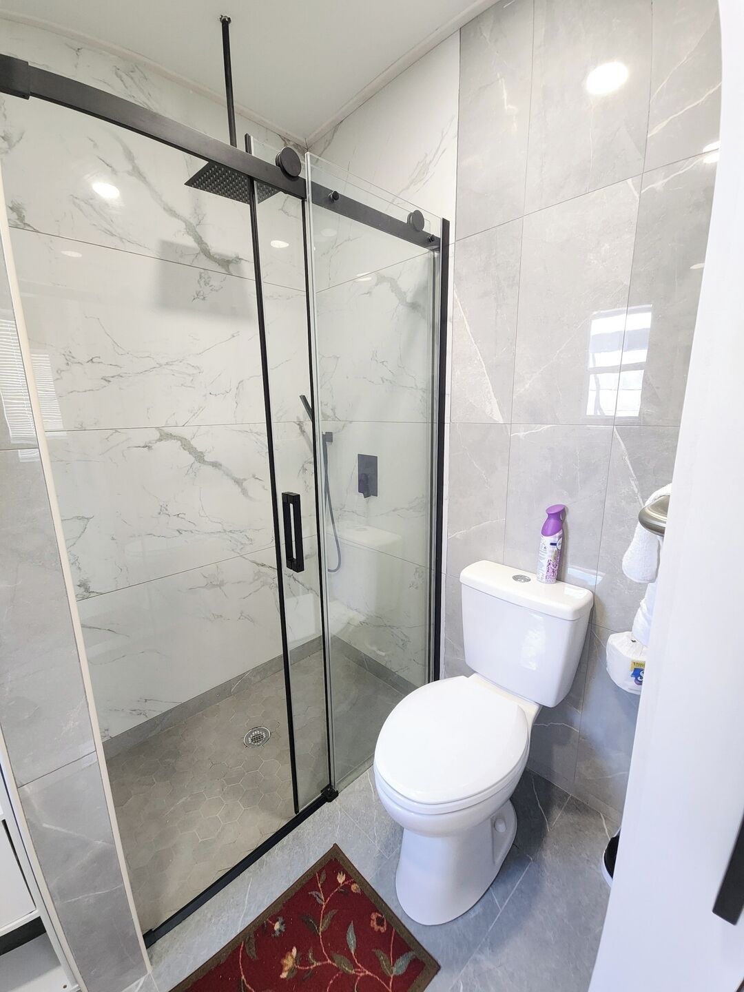 A modern bathroom with a glass-enclosed shower, a white toilet, and a red rug.