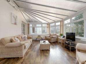 TV, fireplace, DVD player