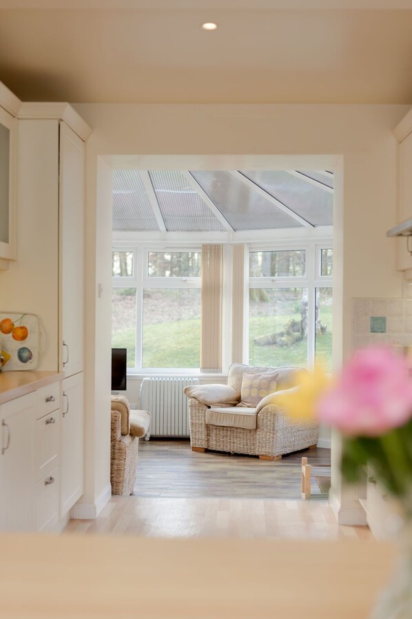 TV, fireplace, DVD player