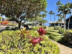 A well-maintained garden with a variety of plants, a paved walkway, and a building with a flat roof in the background.