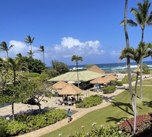 A resort with thatched-roof structures, a lawn, and palm trees.