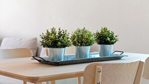 A wooden table with three potted plants on a tray.
