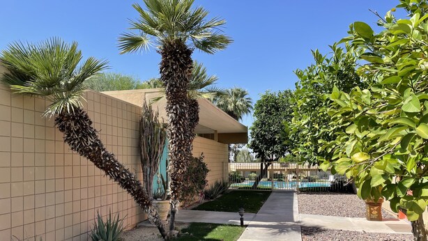 A courtyard with a tiled wall, a palm tree, a small tree, and a pool area. - SANDPIPER.....Breathtaking Views of Mountains and Pool! (Palm Desert)