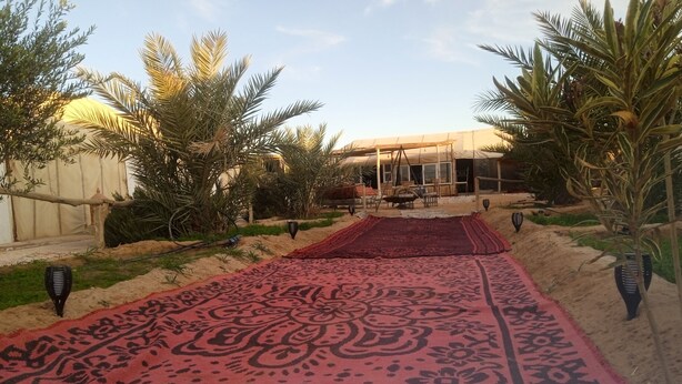 A pathway leading to a building with a covered outdoor area, surrounded by palm trees and a patterned carpet. - Sahara Merzouga Camp (Hassilabied)