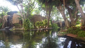 Un estanque tranquilo con una cascada, rodeado de abundante vegetación y grandes árboles.