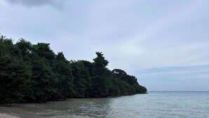 A beach with calm waves, a sandy shore, and a forested area in the background. - OneLoveVilla is a charming ocean view beach house in New Hope, Westmoreland JA (New Hope)