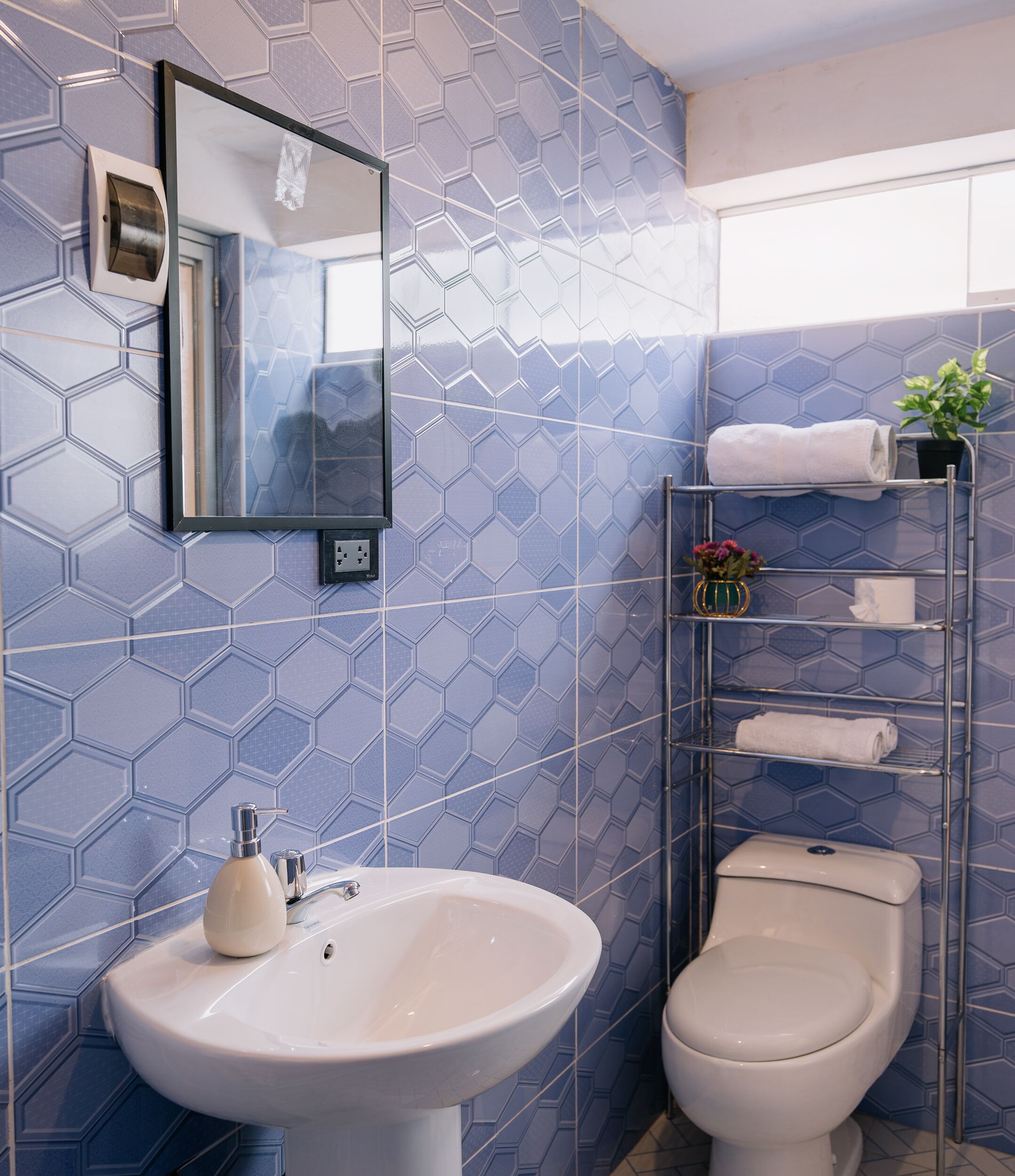 Un baño con un patrón de baldosas hexagonales, un lavamanos blanco, un inodoro, un espejo y un toallero con una planta.
