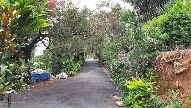 A narrow, paved pathway flanked by lush greenery and flowering plants, leading through a garden area. - Check Inn Today Resort (Coonoor)